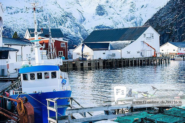 Fischerboot am Kai  Reine  Norwegen