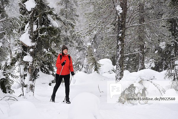 Young woman nordic walking through snow covered forest  Posio  Lapland  Finland