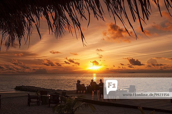 Silhouetten von Menschen unter Palmen bei Sonnenuntergang  Ari Atoll  Malediven