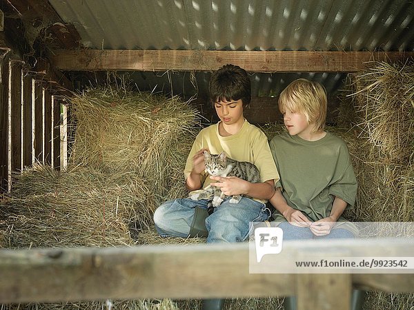 Zwei Jungen sitzend mit Kätzchen in der Scheune