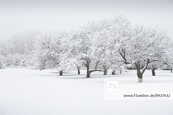 Scenic view of winter landscape