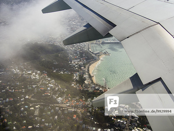 Aerial view of airplane wing flying over Wellington cityscape  Wellington  New Zealand