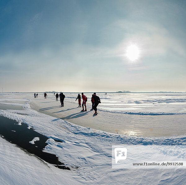 Inlineskater Wasser Europa Winter Mensch Menschen Landschaft Eis Niederlande Schnee
