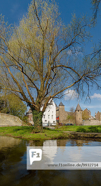 Wasser Europa Wohnhaus Baum Großstadt Dorf Niederlande Maastricht