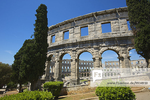 Außenaufnahme Sehenswürdigkeit Europa Tag Gebäude niemand Architektur Geschichte Antiquität Amphitheater Kroatien Istrien römisch