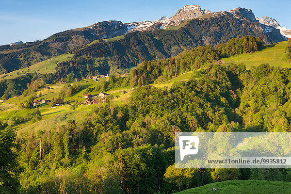 Grabserberg  Grabs mountain  Switzerland  Europe  canton St. Gallen  Rhine Valley  morning light