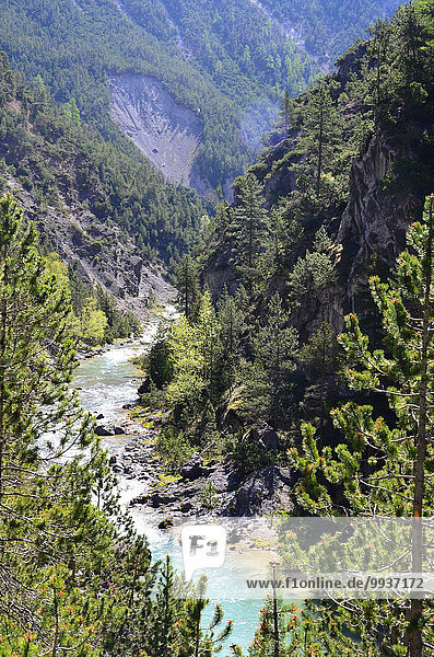 Nationalpark Europa Tal fließen Fluss Bach Schlucht Kanton Graubünden Schweiz