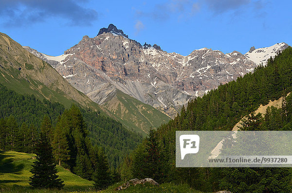 Nationalpark Europa Berg Berggipfel Gipfel Spitze Spitzen Kanton Graubünden Schweiz