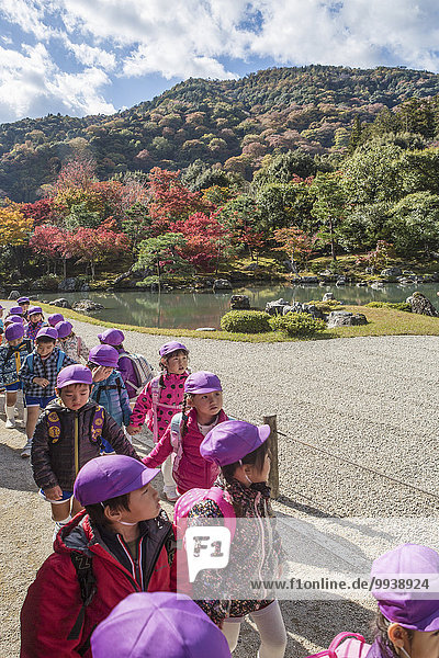 Landschaft niemand Reise lila Garten Herbst Eingang rot Tourismus Asien Laub Japan japanisch Kyoto Teich
