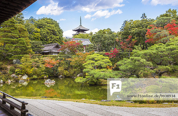 Landschaft niemand Reise Architektur bunt Garten Tourismus UNESCO-Welterbe Tempel Asien Japan Kyoto Pagode Teich