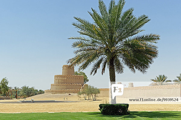 Abu Dhabi Hauptstadt bauen Vereinigte Arabische Emirate VAE Tradition Palast Schloß Schlösser Baum Gebäude Wüste Architektur Turm Pflanze Sand Garten Festung Weg Al-Ain Asien Tourismus