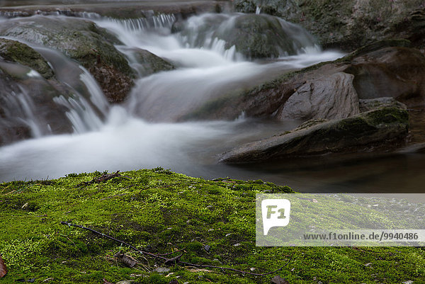 Switzerland  Europe  Appenzell  Rothbach  wather  creek  winter  watercourse  stone  moss