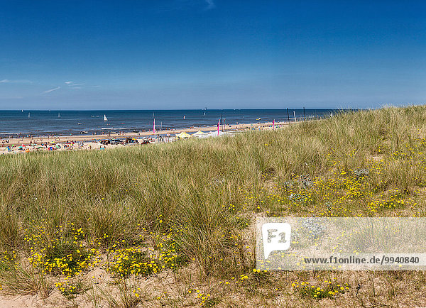 Netherlands  Holland  Europe  Egmond aan Zee  Noord-Holland  landscape  summer  beach  sea  people  dunes