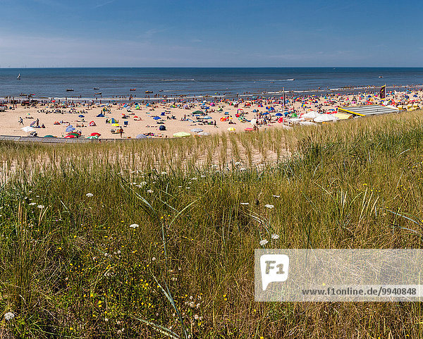 Netherlands  Holland  Europe  Egmond aan Zee  Noord-Holland  landscape  summer  beach  sea  people