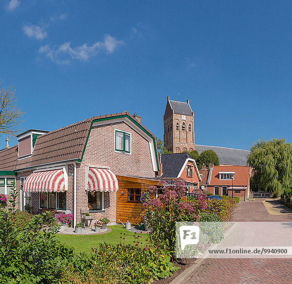 Europa Blume Wohnhaus Sommer Kirche Dorf Niederlande Friesland