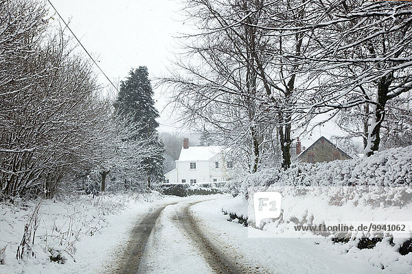 Kälte Europa Schneedecke Winter Wohnhaus Ruhe Baum britisch Großbritannien Landschaft niemand Fernverkehrsstraße weiß monochrom North Devon Stille Moor England grau Hecke hübsch Straßenrand Schnee schneien