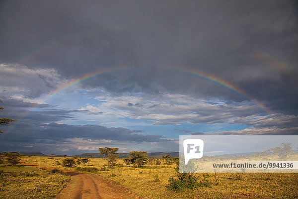 Ostafrika Landschaftlich schön landschaftlich reizvoll Baum Beleuchtung Licht Landschaft Reise Serengeti Nationalpark Afrika Stimmung Regenbogen Tansania
