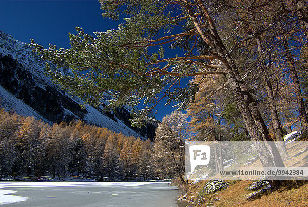 Switzerland  Europe  Graubünden  Grisons  Alps  Albula  Landscape  Mountain  pass  autumn  lake Palpuognasee  lake  ice