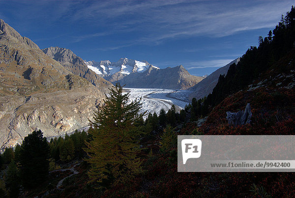 Switzerland  Europe  Wallis  Alps  Riederalp  Landscape  Mountain  autumn  clouds  Aletschgletscher  glacier