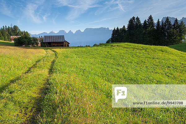 Plon  Switzerland  Europe  canton St. Gallen  area of Sargans  Alp  stables  flies  way  Churfirsten