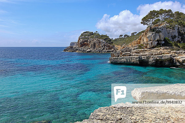 Cala de s'Almonia  Naturschutzgebiet Cap de ses Salines  Cala Llombards  Mallorca  Balearen  Spanien  Europa