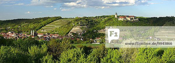 Panorama von Freyburg mit Schloß Neuenburg  Stadtkirche St. Marien und Weinbergen  Freyburg  Burgenlandkreis  Sachsen-Anhalt  Deutschland  Europa