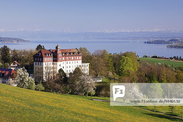 Ausblick auf Schloss Spetzgart über den Bodensee zu den Alpen  Überlingen  Baden-Württemberg  Deutschland  Europa