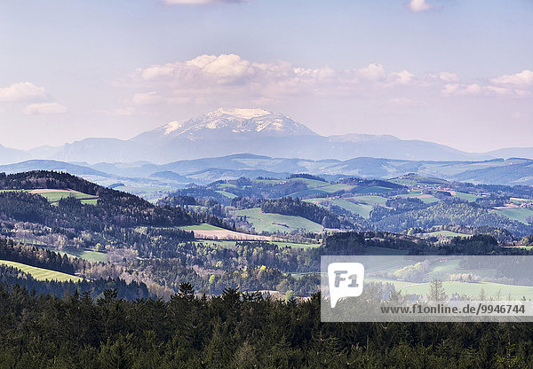 Ausblick von der Aussichtswarte auf dem Hutwisch zum Schneeberg  Bucklige Welt  Industrieviertel  Niederösterreich  Österreich  Europa