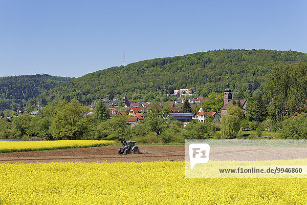 Ortsansicht  Sackenbach bei Lohr am Main  Spessart  Mainfranken  Unterfranken  Franken  Bayern  Deutschland  Europa