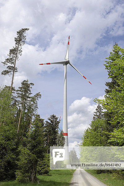 Windkraftwerk im Lindenhardter Forst  Creußen  Oberfranken  Franken  Bayern  Deutschland  Europa