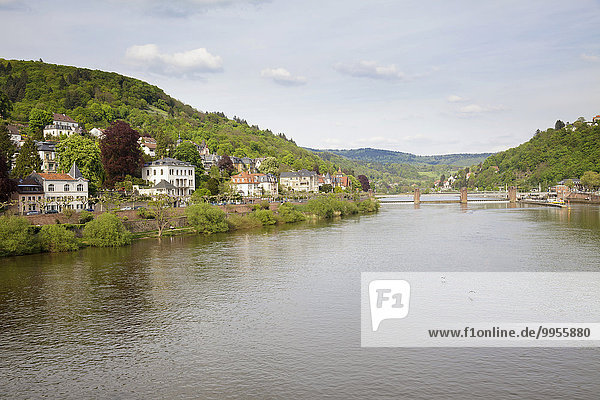 Blick auf Fluss Neckar von der Alten Brücke  Heidelberg  Baden-Württemberg  Deutschland  Europa