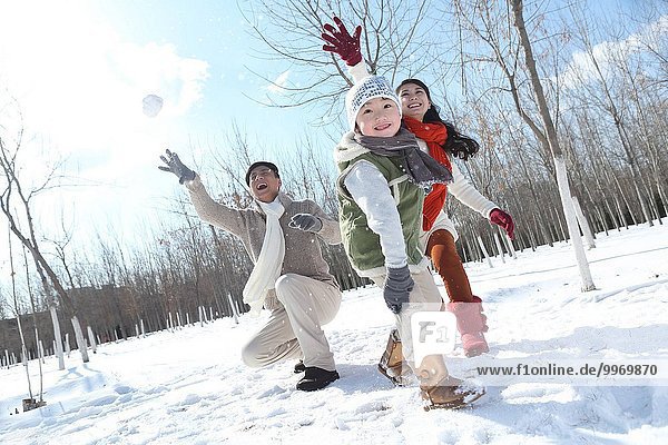 Oriental home in the snow snowball fights