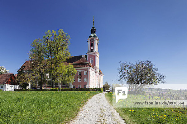 Wallfahrtskirche und Kloster Birnau  Unteruhldingen  Bodensee  Baden-Württemberg  Deutschland  Europa
