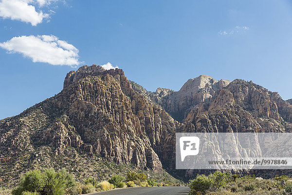 Red Rock Canyon National Park  Nevada  USA  Nordamerika