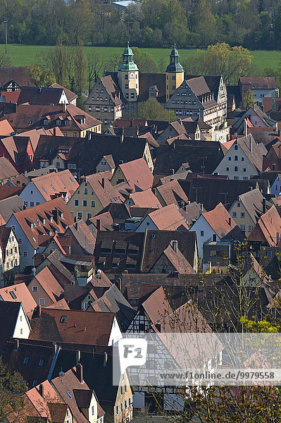 Ausblick vom Michelsberg auf die Altstadt mit dem ehemaligen Schloss  Hersbruck  Mittelfranken  Bayern  Deutschland  Europa