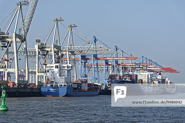 Containerhafen mit Kränen  Neumühlen  Hamburg  Deutschland  Europa