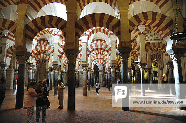Inside the Mezquita-Catedral de Córdoba Mosque-Cathedral  Cordoba  Andalucia  Spain  Europe