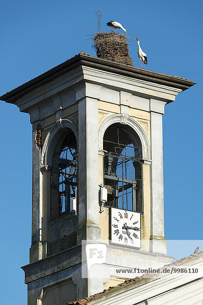 Glockenturm Kirche Unehrlichkeit Vialone Italien Lombardei