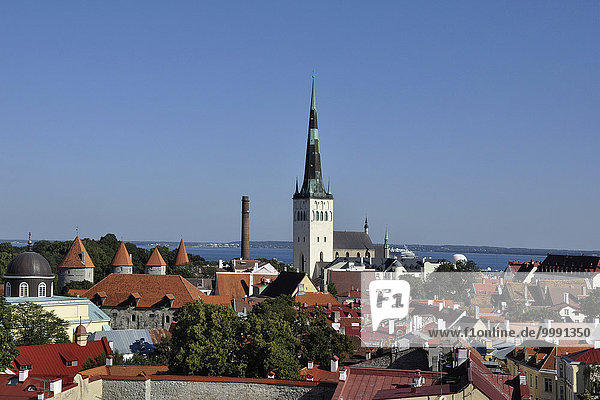 Estonia  Tallin  old town