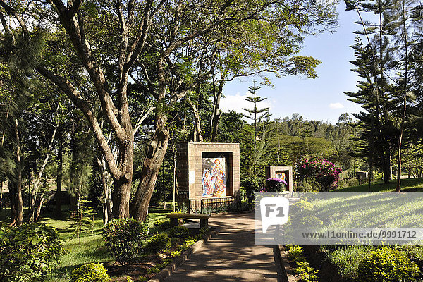 Kenya  Nairobi  Kamiti village  parish garden