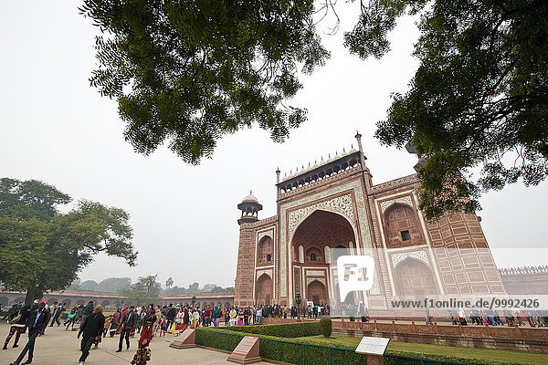 India  Uttar Pradesh  Agra  Taj Mahal Complex