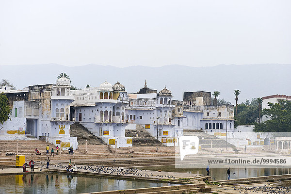 India  Rajasthan  Pushkar  ghats