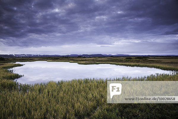 Calm pool among landscape  Myvatn  Iceland