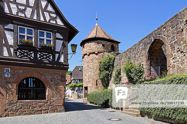 Wehrmauer mit Wehrturm der Wehrkirche  Dörrenbach  Südpfalz  Pfalz  Rheinland-Pfalz  Deutschland  Europa