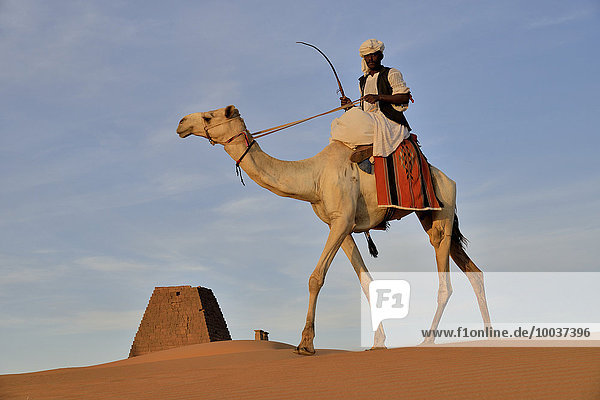 Mann auf Dromedar vor einer Pyramide des Nordfriedhofs von Meroë  Nubien  Nahr an-Nil  Sudan  Afrika