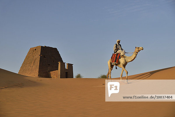 Man riding a dromedar in front of a pyramid of the northern cemetery of Meroe  Nubia  Nahr an-Nil  Sudan  Africa