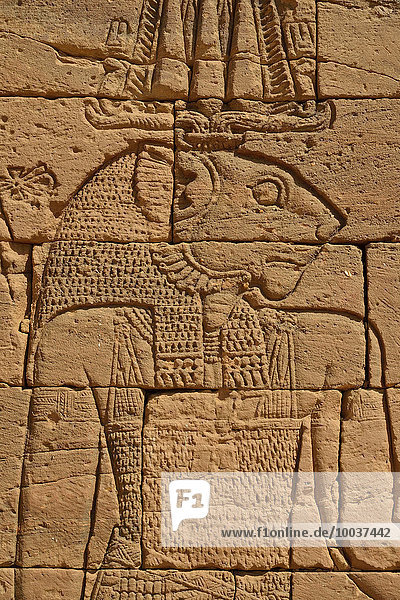 Relief of the lion deity Apedemak at the lion temple  Naga  Nubia  Nahr an-Nil  Sudan  Africa