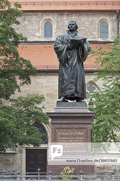 Lutherdenkmal mit Postament  1889  hinten Kaufmannskirche  Altstadt  Erfurt  Thüringen  Deutschland  Europa