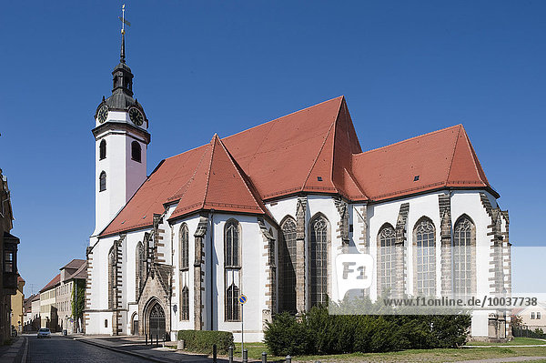 Evangelische Stadtkirche Sankt Marien  14.Jh.  Turm barock überformt  Torgau  Sachsen  Deutschland  Europa