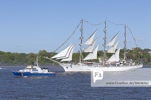 'Segelschiff ''Dar Mlodziezy'',  826. Hamburger Hafengeburtstag,  vom Rüschpark aus,  Finkenwerder,  Hamburg,  Deutschland,  Europa'